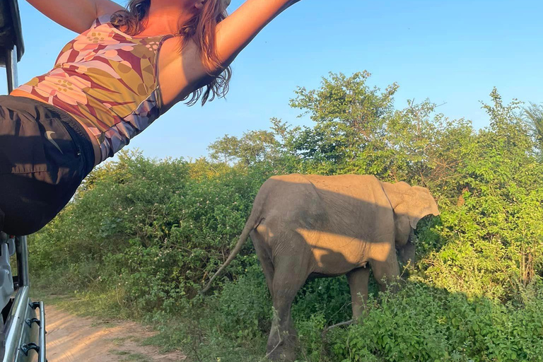 Depuis Tangalle : Safari dans le parc national de Yala avec escale à EllaSafari matinal de 4 heures