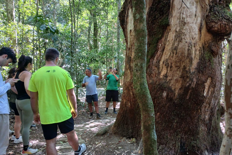 Rio de Janeiro: Spacer po lesie Tijuca
