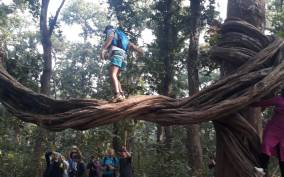 From Chitwan: Day Tour Jeep Safari+Canoeing+Jungle walk