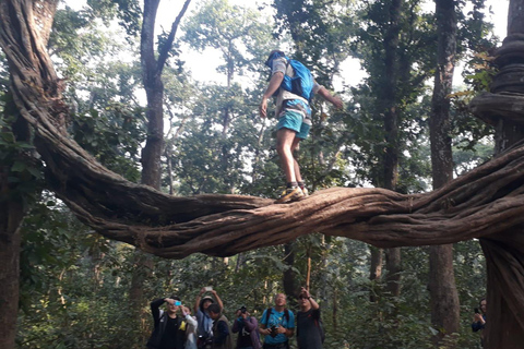 3 Nachten 4 Dagen Chitwan National Park met Torennachtverblijf