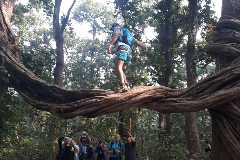 3 Nachten 4 Dagen Chitwan National Park met Torennachtverblijf