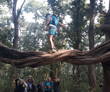 From Chitwan: Day Tour Jeep Safari+Canoeing+Jungle walk