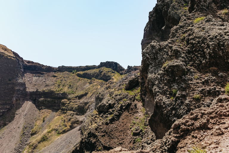 Vanuit Rome: Dagtrip Pompeii en de Vesuviusberg met lunchPompeii & Vesuvius met kegelwandeling