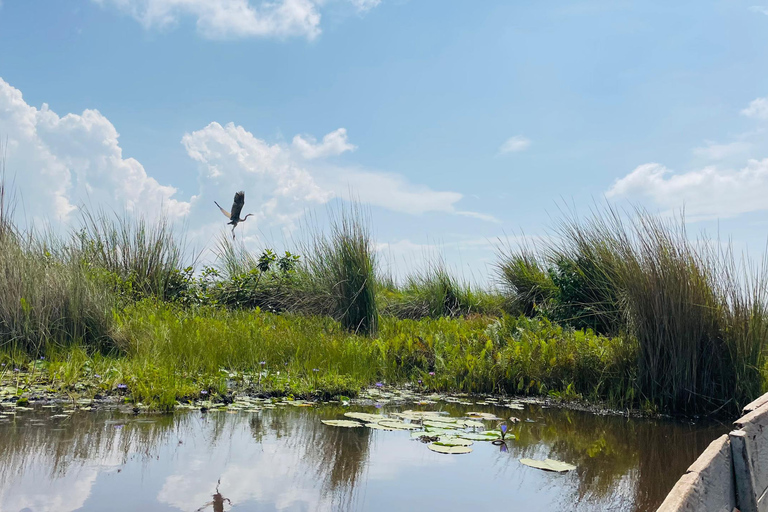 From Kampala: Mabamba Swamp Birding Half-Day Tour From Kampala: Mabamba Swamp Birding Day Tour