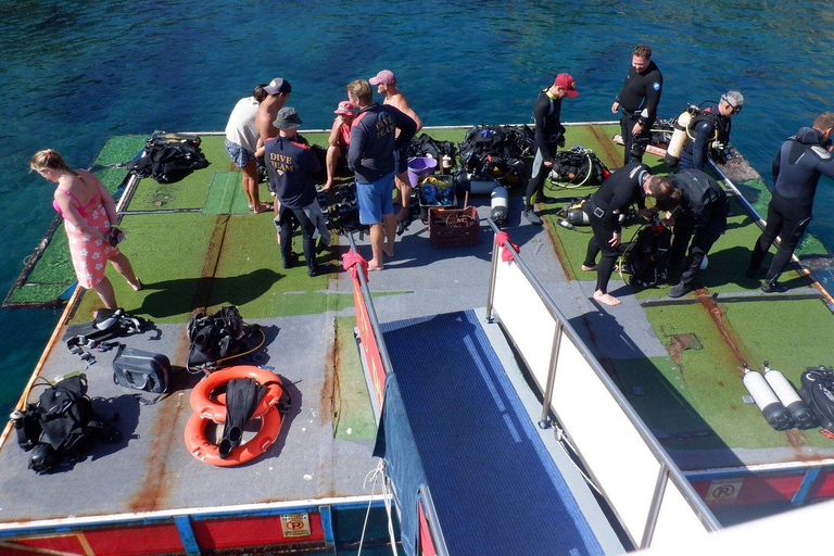 كوليمبيا، رودس: مغامرة غوص لجميع المستوياتكوليمبيا، رودس: مغامرة غوص للمبتدئين والمعتمدين