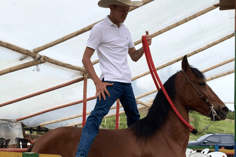 Medellín: Passeio a cavalo, espetáculo de animais e vista do horizonte