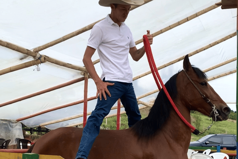 Medellín: Passeio a cavalo, espetáculo de animais e vista do horizonte