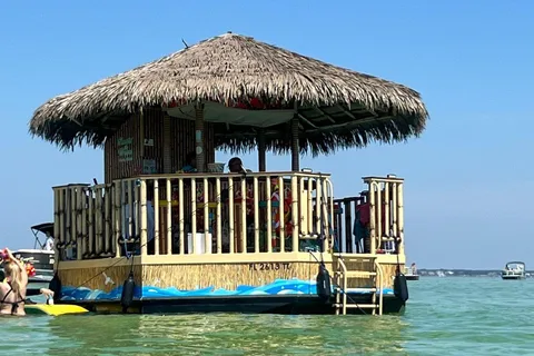 Destin: Crab Island & Dolphin Tour on Tiki Vessel