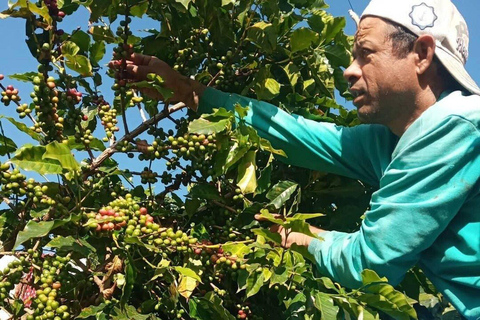 Pokhara: Sarangkot Village Coffee Culture & Local Life Hike