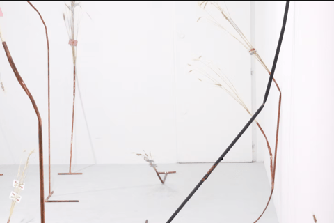 Promenades artistiques à Marseille : Le Panier et au-delàBalade artistique à Marseille : Le Panier et au-delà