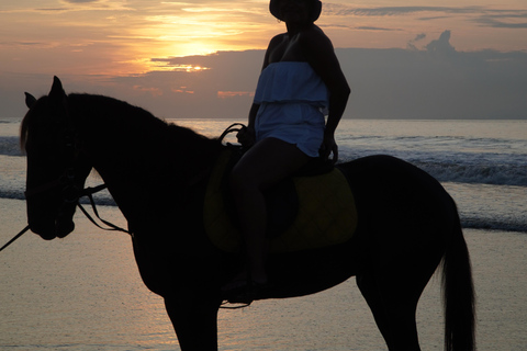 Bali : Randonnée à cheval sur la plage de BaliEquitation Plage 30 minutes Pas de transport