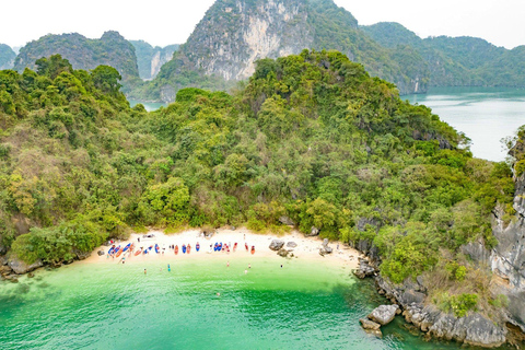 De Ninh Binh : Baía de Bai Tu Long 2-3 dias Cruzeiro na Baía dos Jardins