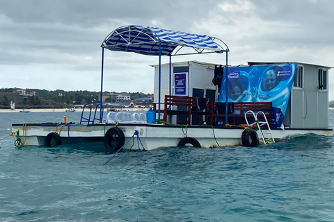 تجربة المشي تحت الماء في زنجبار، لا حاجة للسباحة