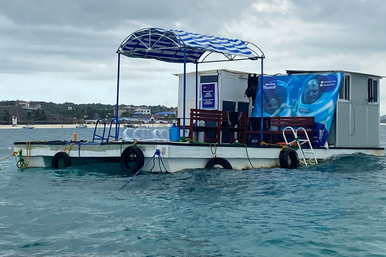 تجربة المشي تحت الماء في زنجبار، لا حاجة للسباحة