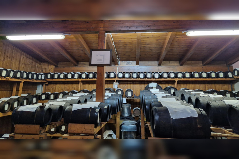 Modena: Organic & Traditional Balsamic Vinegar Tour with EVO Oil Tasting
