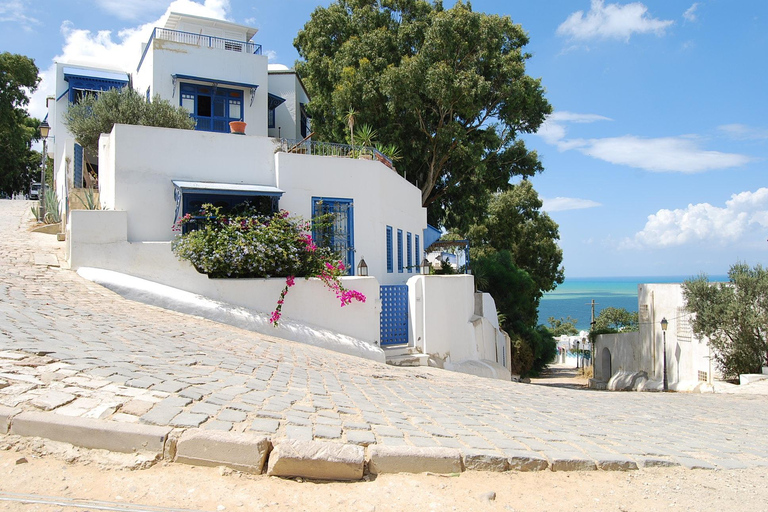 From Hammamet & Sousse: Sunset Tour of Sidi Bou Said and Carthage