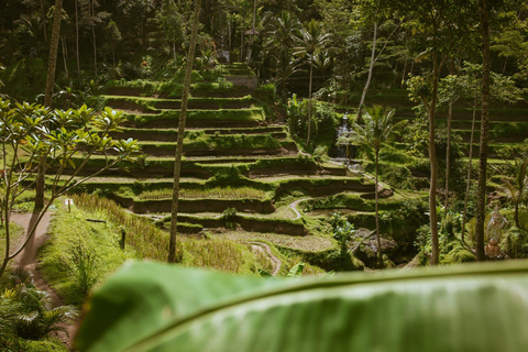 Ubud: tour privato delle gemme nascoste e delle cascateTour di un giorno intero con pranzo