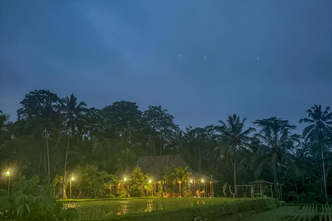 Ubud: Silver Making Class and Fireflies Evening Tour