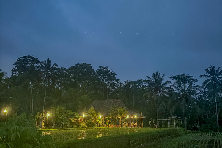 Ubud: Silver Making Class and Fireflies Evening Tour