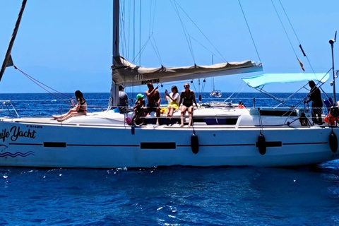 Boat Trip: Dolphin & Whale Watching Sailing Tour 11 Pax Max Boat Trip: Dolphin & Whale Watching Sailing Tour 11 Pax Max