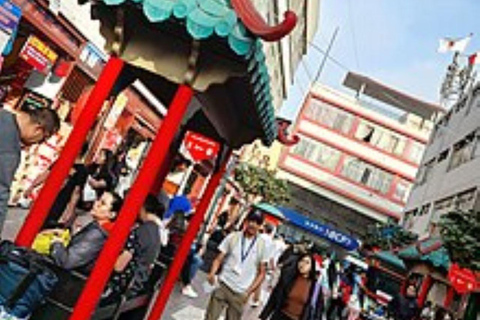 Lima in Depth: Tour of Colonial Lima and Chinatown