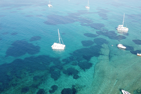 Athens: Riviera Catamaran Tour with Meal and Drinks Alimos: Athens Riviera Catamaran Tour with Food and Drinks