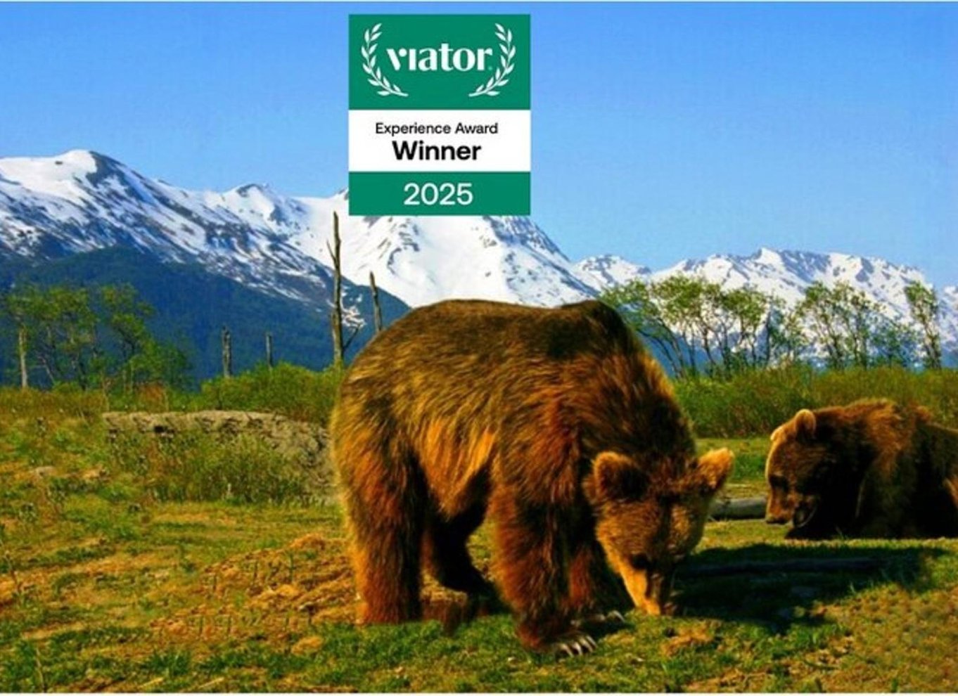 Glacier View & Wildlife Anchorage Eventyrtur