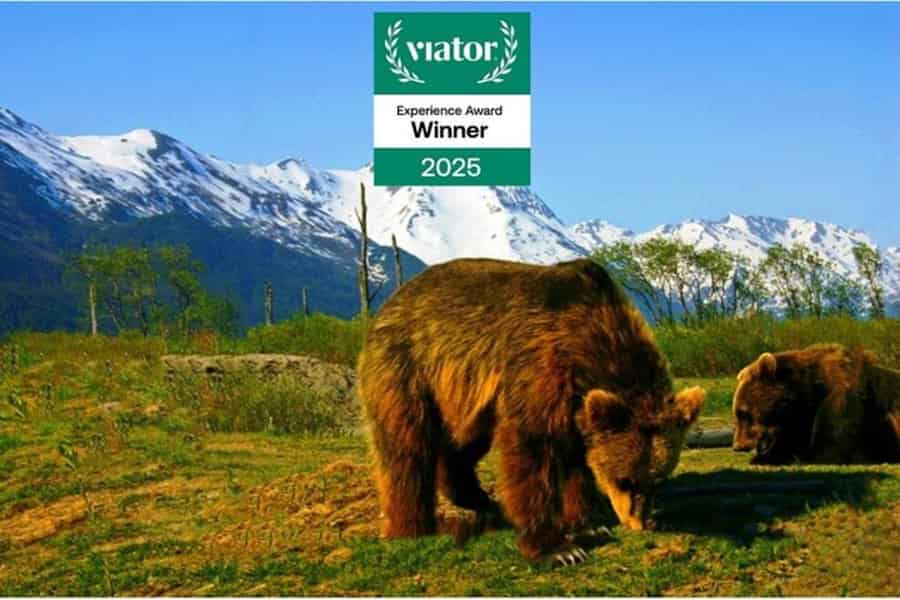 Gletscherblick & Wildnis: Ankerplatz-Abenteuertour. Foto: GetYourGuide