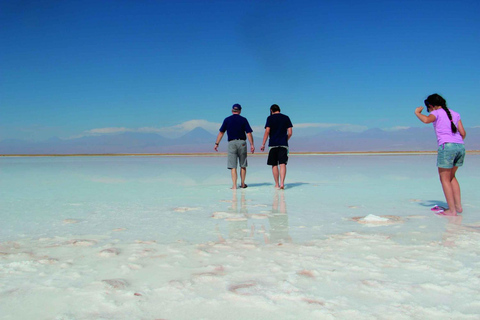 Cejar &amp; Tebenquiche Lagunes Tour met Ojos del Salar Atacama