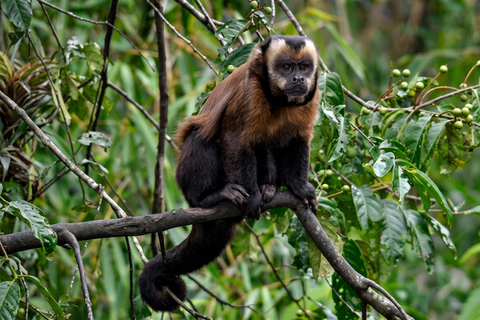 From Puerto Maldonado: 2 Days Sandoval Lake -Into the Jungle