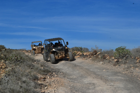 Lanzarote: Tour misto Tour guidato in buggy del vulcano a 4 postiLanzarote: tour misto di 3h Tour guidato in buggy del vulcano a 4 posti