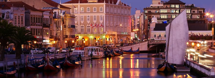 Visite de la ville d'Aveiro : excursion privée avec billets inclus.