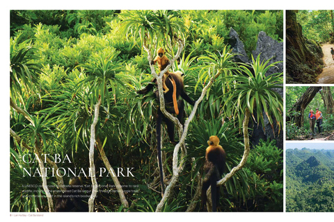 من هانوي: جولة لمدة يومين في جزيرة كات با مع رحلات المشي لمسافات طويلة