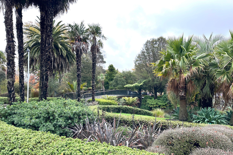 Christchurch City Top Spots Half Day Private Tour