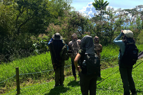 Medellín: Birdwatching on Cerro Tusa Ancient Pyramid Trails