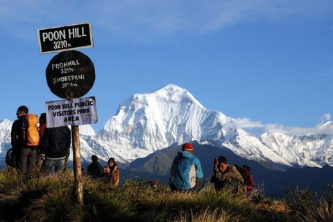 Pokhara: 3 Day Ghorepani Poonhill Himalyan Beauty Trek