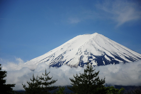 Tokio: Prywatna 1-dniowa wycieczka na górę Fuji i do Hakone