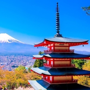 Tokyo: Mt.Fuji Area, Oshino Hakkai, & Kawaguchi Lake Tour