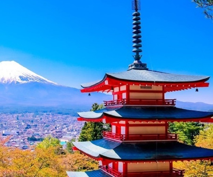 Tokyo: Mt.Fuji Area, Oshino Hakkai, & Kawaguchi Lake Tour