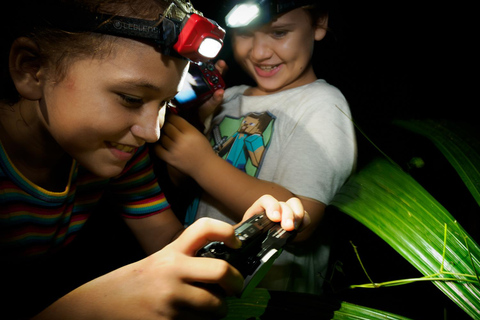 Family Night Walk in Cairns Botanic Gardens