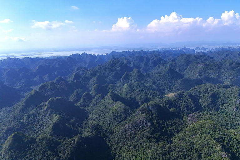 Half day Hiking Cat Ba National Park With guide
