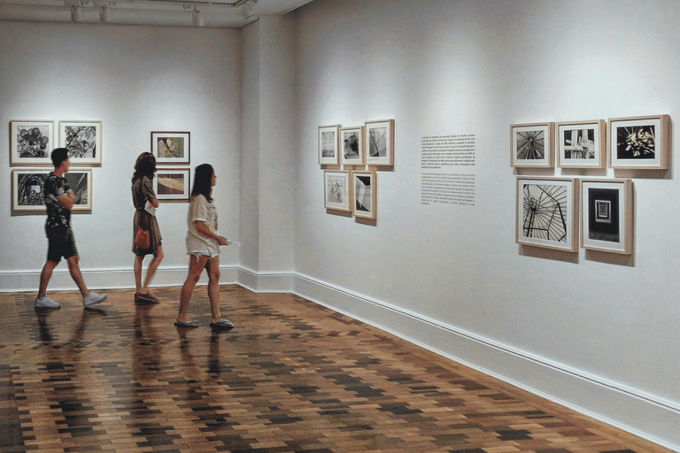 Naples: visit the MANN with skip-the-line ticket, audio guide, and transfer MANN ENTRANCE AND AUDIO GUIDE, PLUS TRANSFER SERVICE FROM THE HOTEL