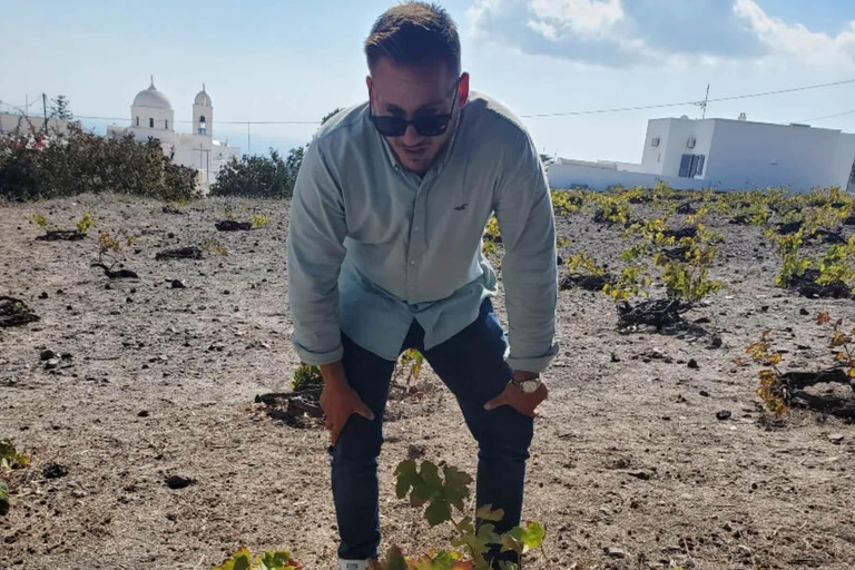 Excursión de un día a Santorini desde AtenasExcursión de un día sin vuelos