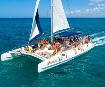 Excursão com tudo incluído à Ilha Saona