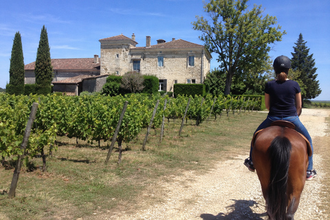 Bordeaux: Private Horse Ride in the Vineyards