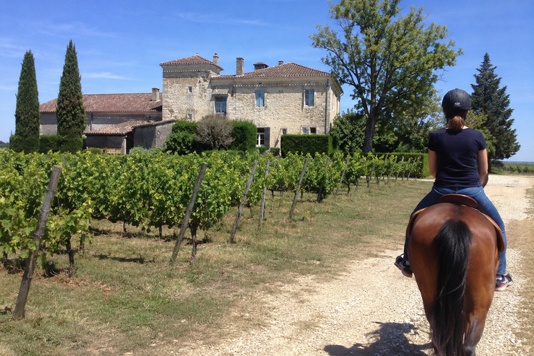 Bordeaux: Private Horse Ride in the Vineyards