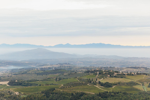 Ballonvlucht boven Toscane: FlorenceStandaard ballonvaart over Toscane