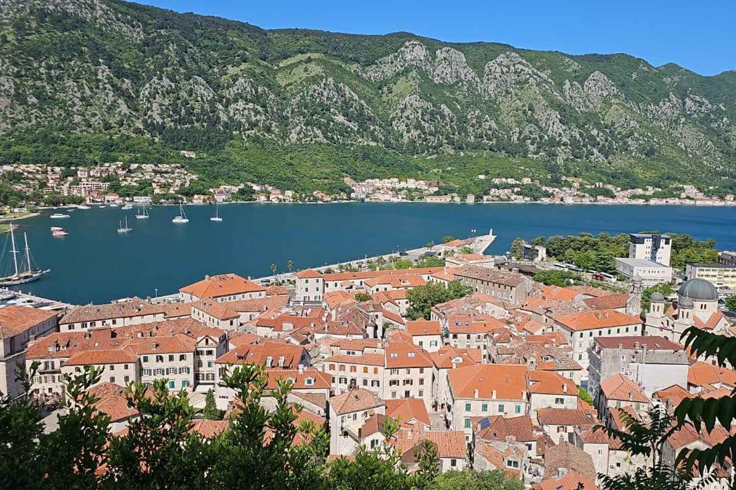 Kotor: Speedboat Tour or Transfer with Custom Options