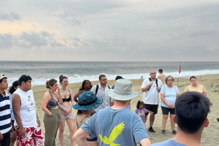 Puerto Escondido: Unforgettable Turtle Release Experience