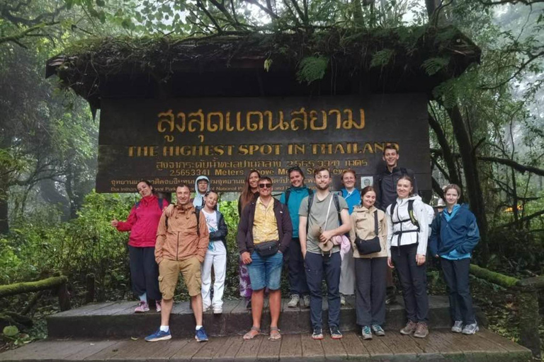 Chiang Mai: Doi Inthanon Summit & Kew Mae Pan Trail Hotel Pickup and Drop-Off (Within Pickup Area)